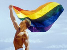 Steve Walker - Rainbow Flag